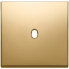VIMAR SPA - VIW22672.1.82 PLACCA 2MX1 VINTAGE ORO
