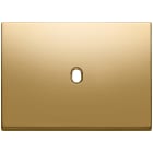 VIMAR SPA - VIW22673.1.82 PLACCA 3MX1 VINTAGE ORO