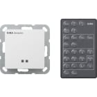 GIRA - GIR236603 SENSOTEC SYSTEM 55 BNC PURO