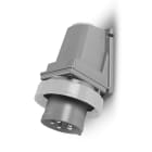 SCAME PARRE SPA - SCA245.32934 SPINA FISSA 2P+T IP66/IP67/IP69 32A 3H