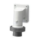 SCAME PARRE SPA - SCA247.16966 SPINA INC.90° 3P+T 16A IP67 7H