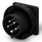 SCAME PARRE SPA - SCA248.3297.K SPINA DA INCASSO 32A 3P+N+T 6H 346-415V