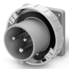 SCAME PARRE SPA - SCA248.16938 SPINA DA INCASSO 16A 2P+T 8H >250V CC
