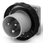 SCAME PARRE SPA - SCA248.16936 SPINA DA INCASSO 16A 2P+T 7H 480-500V