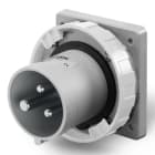 SCAME PARRE SPA - SCA248.63938 SPINA DA INCASSO 63A 2P+T 8H >250V CC