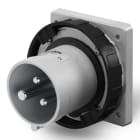 SCAME PARRE SPA - SCA248.63936 SPINA DA INCASSO 63A 2P+T 7H 480-500V