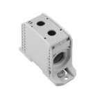 WEIDMULLER - WEI2502850000 WPD 133 1X300/1X300 GY