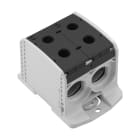 WEIDMULLER - WEI2502940000 WPD 233 2X300/2X300 BK