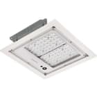 SIGNIFY ITALY SPA - PHA99748200 Mini 300 LED gen3, Under-canopy light, 48 W, 7380 lm, 5700 K, CRI70, Interna (nessuna connessione esterna), Petrol Rotational Symmetric Medium, IP66