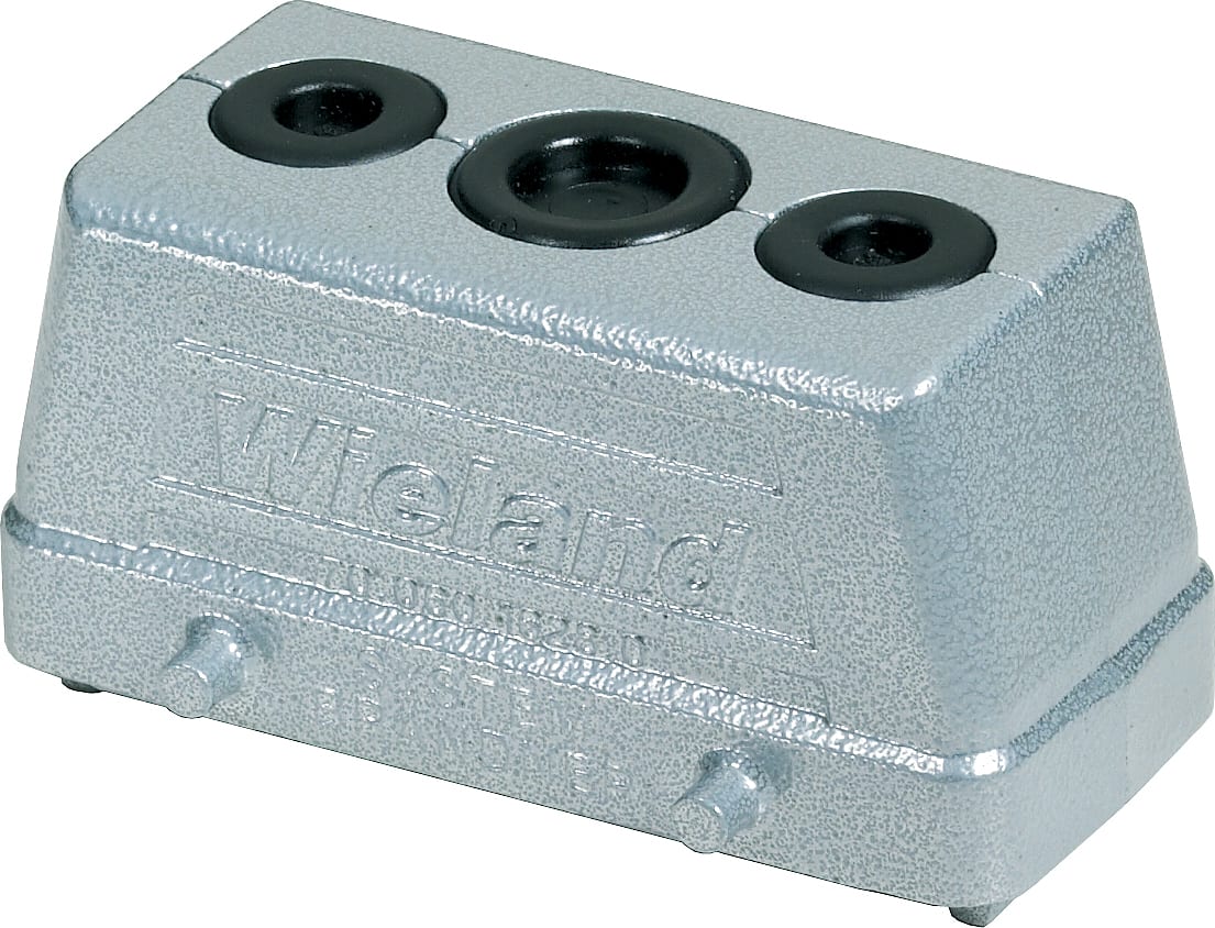 WIELAND ELECTRIC SRL - WIE70.060.1628.0 INGRESSO DATI IT DKE 16