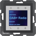 BERKER - BRK29841606 RADIO TOUCH DAB+, S.1/B.X ANTR.OPACO