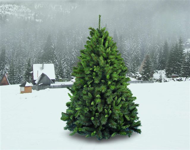 GIOCOPLAST NATALE SP - GCP29908690 ALBERO GERMOGLIATO CM.150 CON 520 RAMI