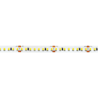 LINEA LIGHT (ILED) - ILDC0043MDI05000 RIBBON HE 24V 12W/M 160L 5M M 2700K