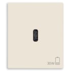 VIMAR SPA - VIW30298.C ALIMENTATORE USB C 30W PD CANAPA