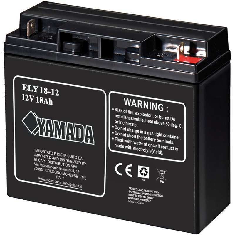 ELCART DISTRIBUTION - ERT300612000 BATTERIA RIC.PIOMBO 12V 18AH