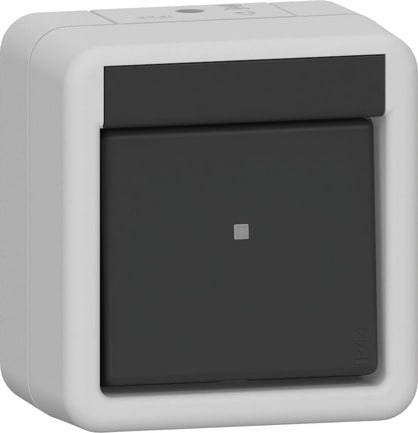 GIRA - GIR310630 INT.BIL. DEVUN