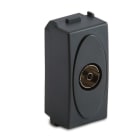 MASTER SRL - MST31254 MODO PRESA TV 9,5MM FINALE GRIGIO