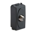 MASTER SRL - MST31266 MODO PRESA TV CONNETTORE IEC FEMMINA