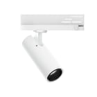 LINEA LIGHT (ILED) - ILD81625W15 POUND-1 8 1L 15WAC CRI92 BAL+AL BG