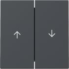 GIRA - GGI329428 INTER.BIL. 2-M FRECCIA