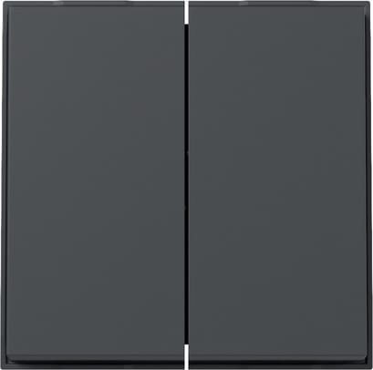 GIRA - GGI329567 INT.BIL.2-M GIRA TX_44 (PA IN) ANTRACITE