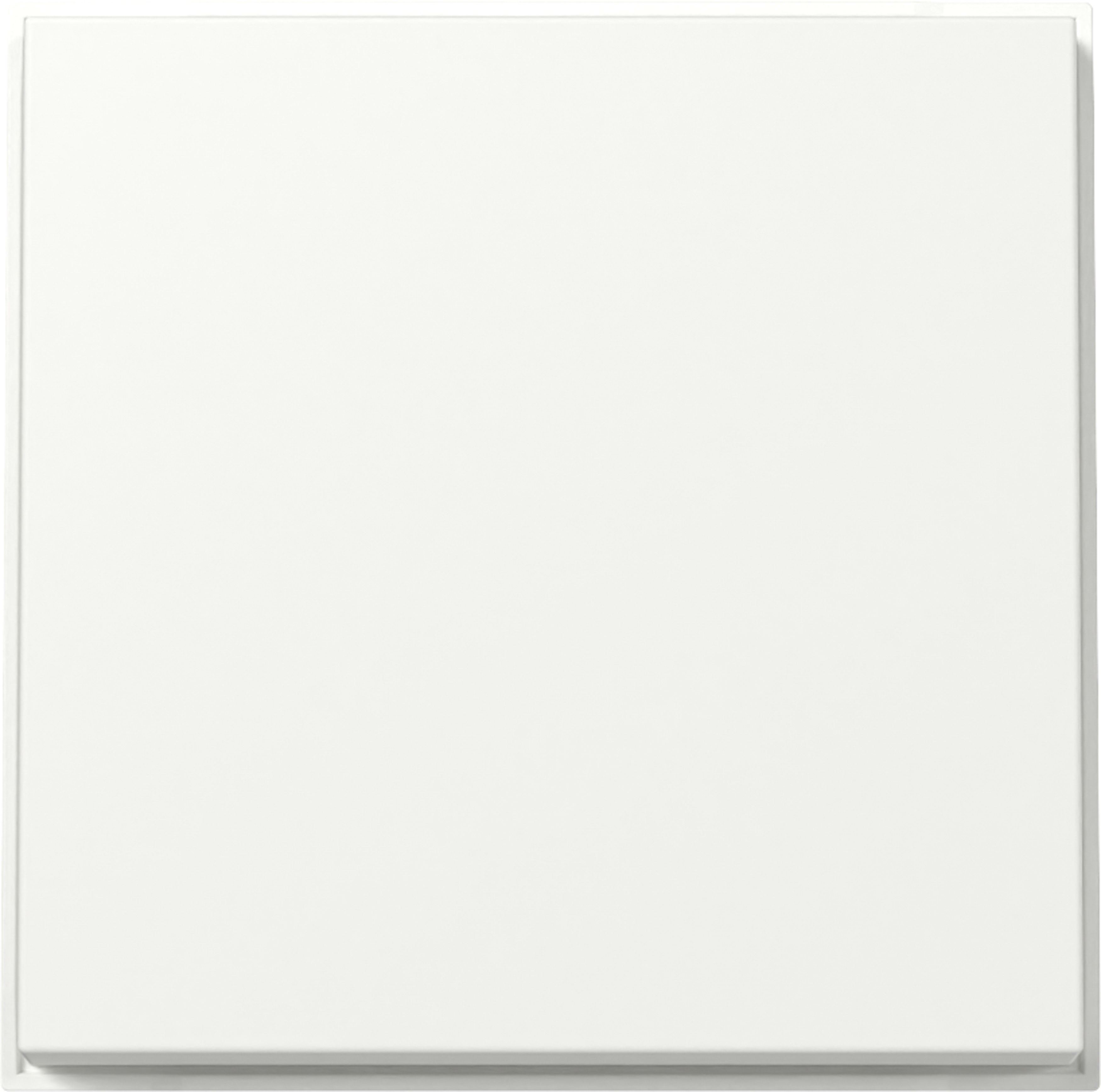 GIRA - GIR329666 BILANCIEREGIRATX_44(PAIN)BNCPURO