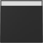 GIRA - GIR3299005 INT.BIL. CT