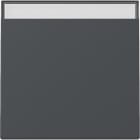 GIRA - GIR329928 INT.BIL. CT SYSTEM 55 ANTRACITE