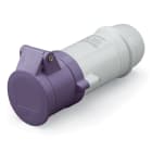 SCAME PARRE SPA - SCA330.1609 PRESA VOL. BASSISS. 3P 16A 24V