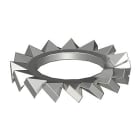 OBO BETTERMANN - OBO3404372 SWS M6 A4 RONDELLA DENTELLATA