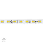 LINEA LIGHT (ILED) - ILDC0027DDI05000 RIBBON + 13W DIN. 1800-4000 R90 5M