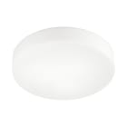 ROSSINI - RSS3619-50 APPLIQUE/PLAFONIERA TONDA VETRO SATINATO