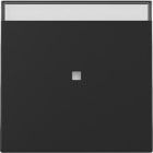 GIRA - GIR3670005 BIL. FIN.CTRL. + CT