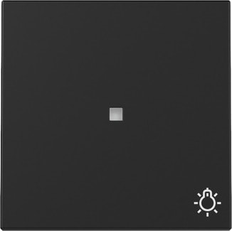 GIRA - GIR3674005 BIL. FIN.CTRL. + SIM.LUCE