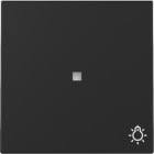 GIRA - GGI3674005 BIL. FIN.CTRL. + SIM.LUCE