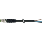 MURRELEKTRONIK SRL - MUE7000080016100500 M8 MAS. 0? CON CAVO