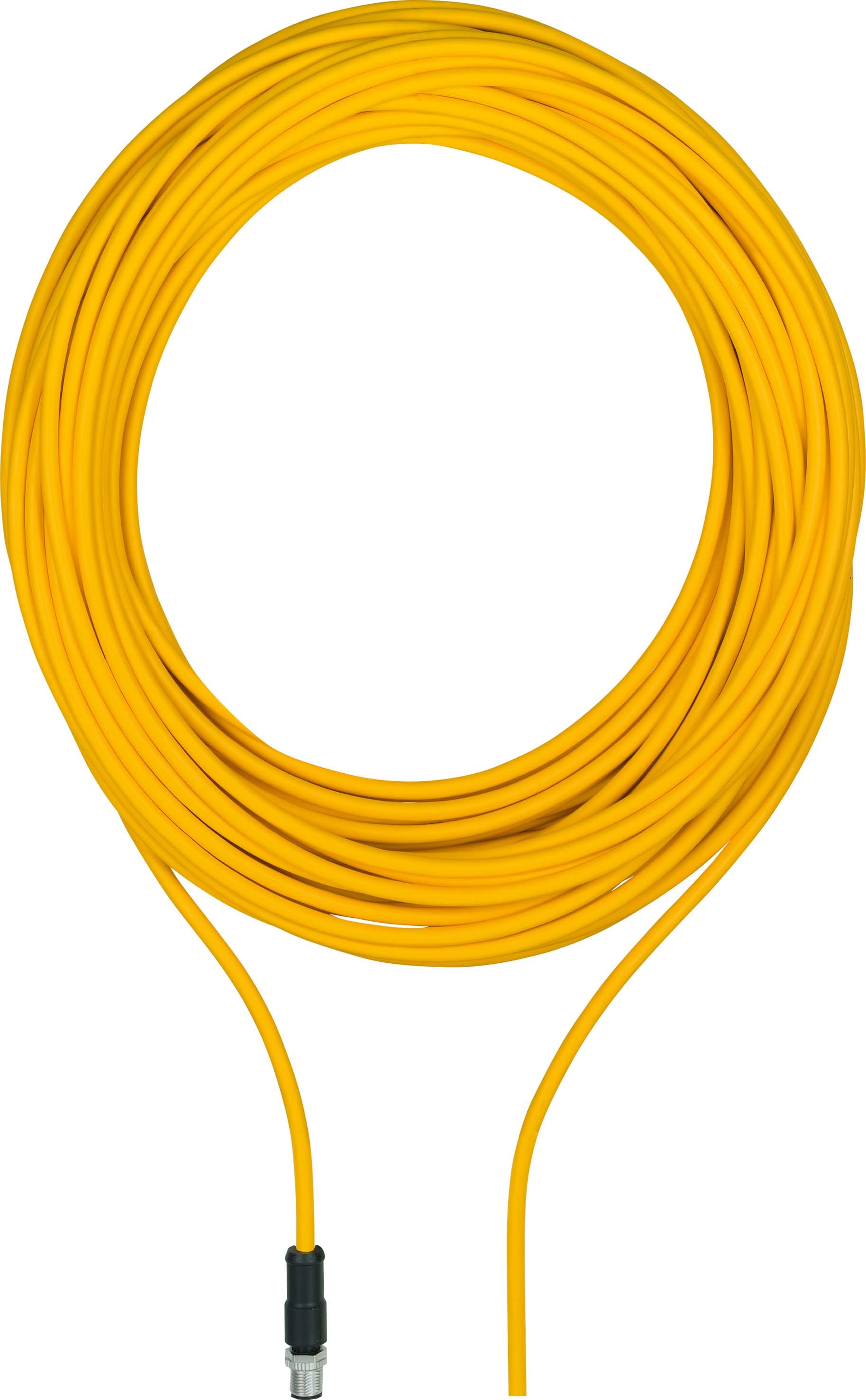 PILZ ITALIA SRL - PIZ380701 CAVO PDP, ASS. M12/8M _FILI LIBERI, 5M