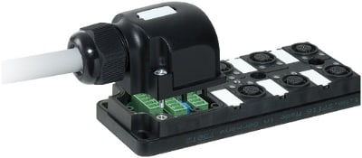 MURRELEKTRONIK SRL - MUE27033 MVP12 6XM12 5 POLI A CABLARE