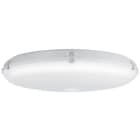 3F FILIPPI - 3FF34407 3F PETRA OP 620 50W LED