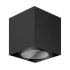 LINEA LIGHT (ILED) - ILDC00749BBWMW PORTIK-Q 36 Q100 15.8WAC DALI+HC BB