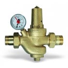 WATTS INDUSTRIES ITA - WAT0501340 DRV40M RIDUTT. PRESS. MAN.
