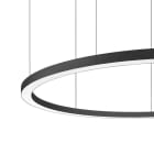 LINEA LIGHT (ILED) - ILDC00416BBWDI TOUR SOSP.DIR.114W 24V BC D.2450 BB
