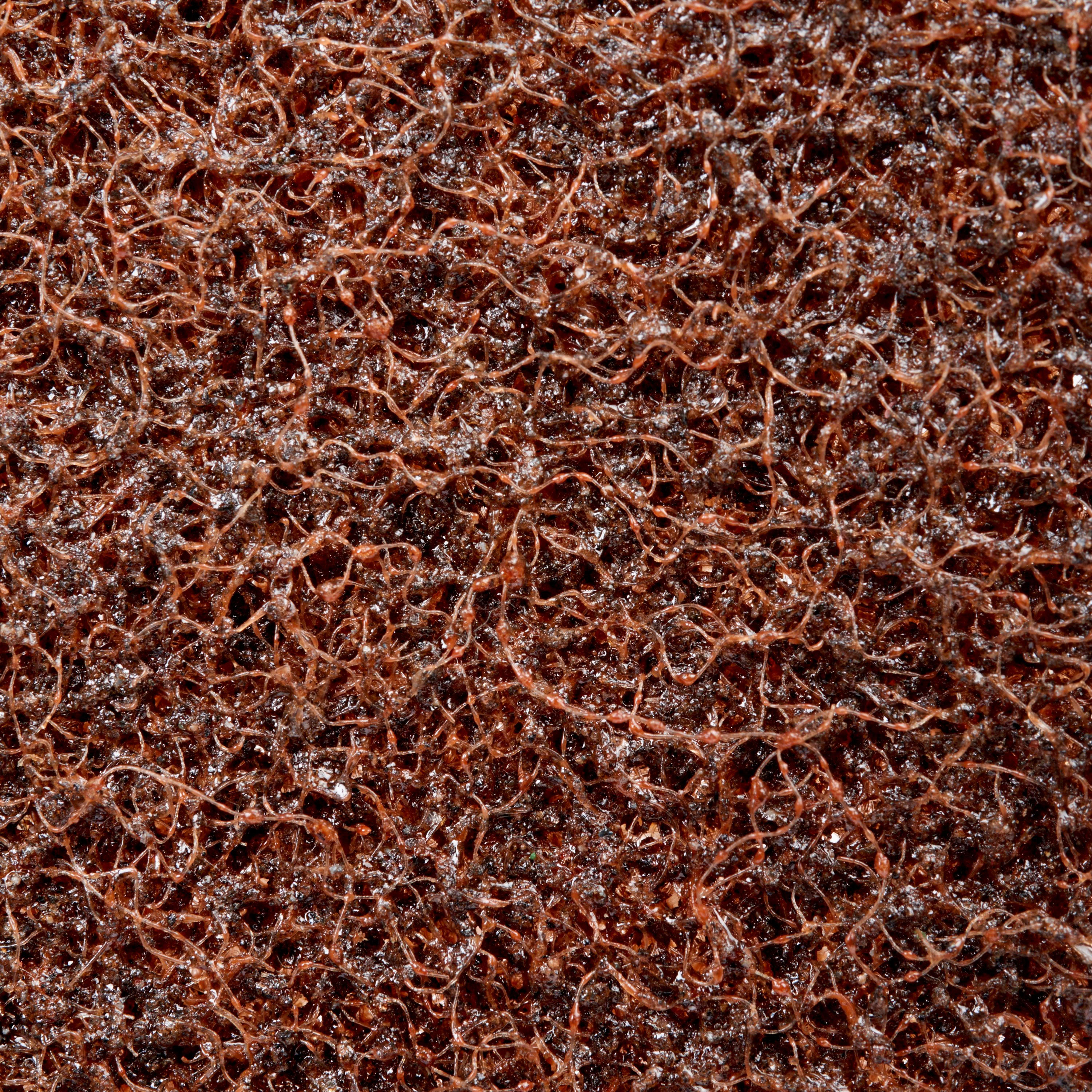 3M ITALIA - 3MF7100233623 DISCO PER IL CONDIZIONAMENTO DELLE SUPER