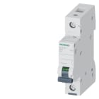 SIEMENS - SIE5SL41027 INT. MT 1P C2 ICN 10000A