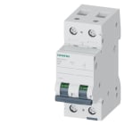 SIEMENS - SIE5SL42047 INT. MT 2P C4 ICN 10000A