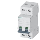 SIEMENS - SIE5SL42136 INT. MT 2P B13 ICN 10000A