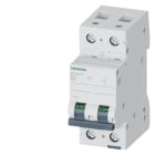 SIEMENS - SIE5SL42206 INT. MT 2P B20 ICN 10000A