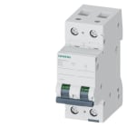 SIEMENS - SIE5SL42207 INT. MT 2P C20 ICN 10000A