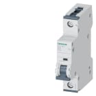 SIEMENS - SIE5SY41207 INT MT 1P C20 ICN 10KA ICU 20KA