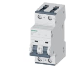SIEMENS - SIE5SY42067 INT MT 2P C6 ICN 10KA ICU 35KA